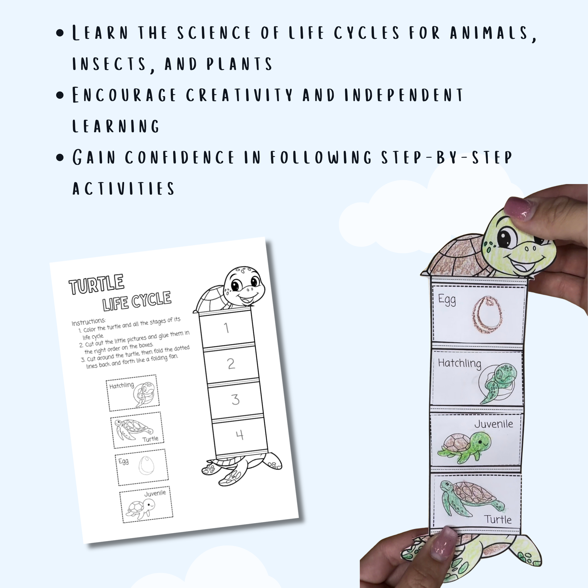 My Life Cycle Workbook