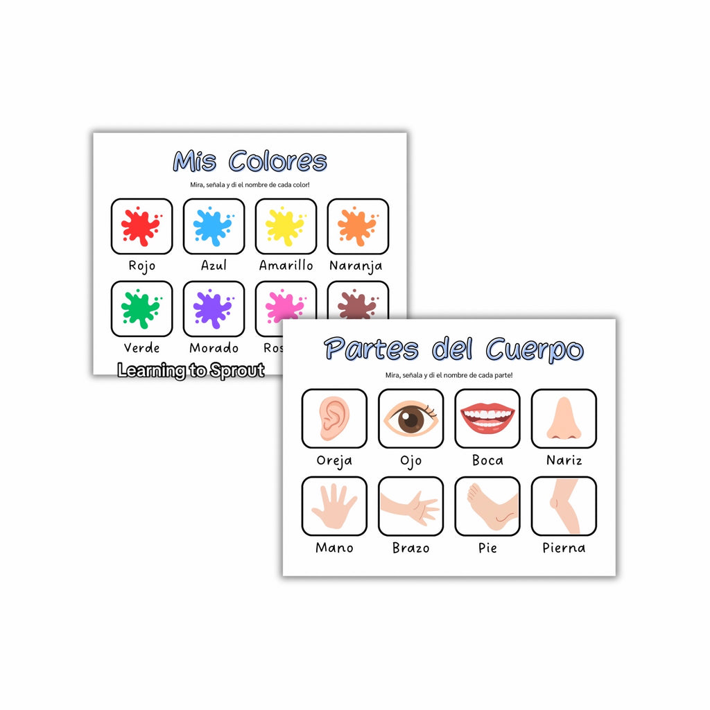 Mi Primer Libro de Aprendizaje
