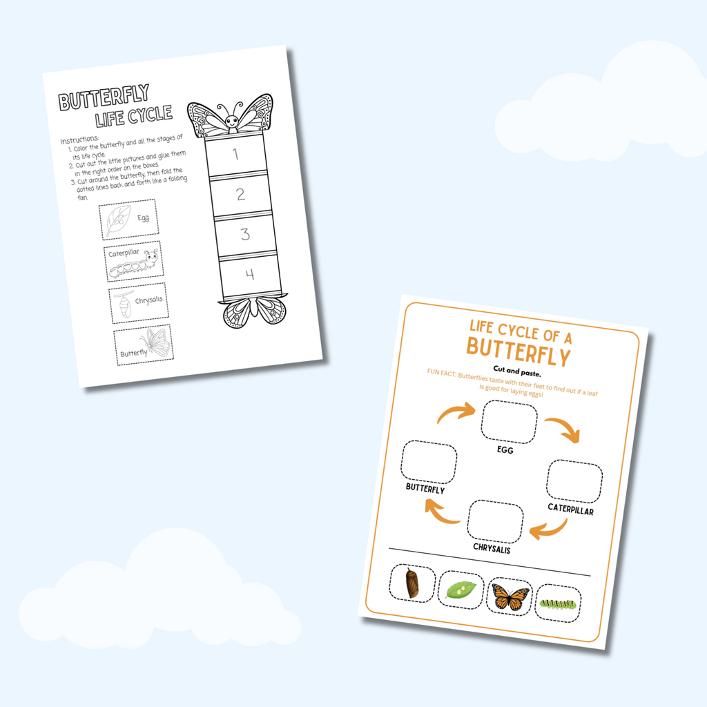 My Life Cycle Workbook