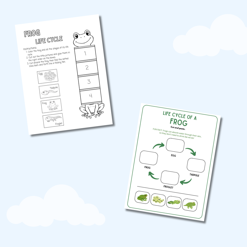 My Life Cycle Workbook