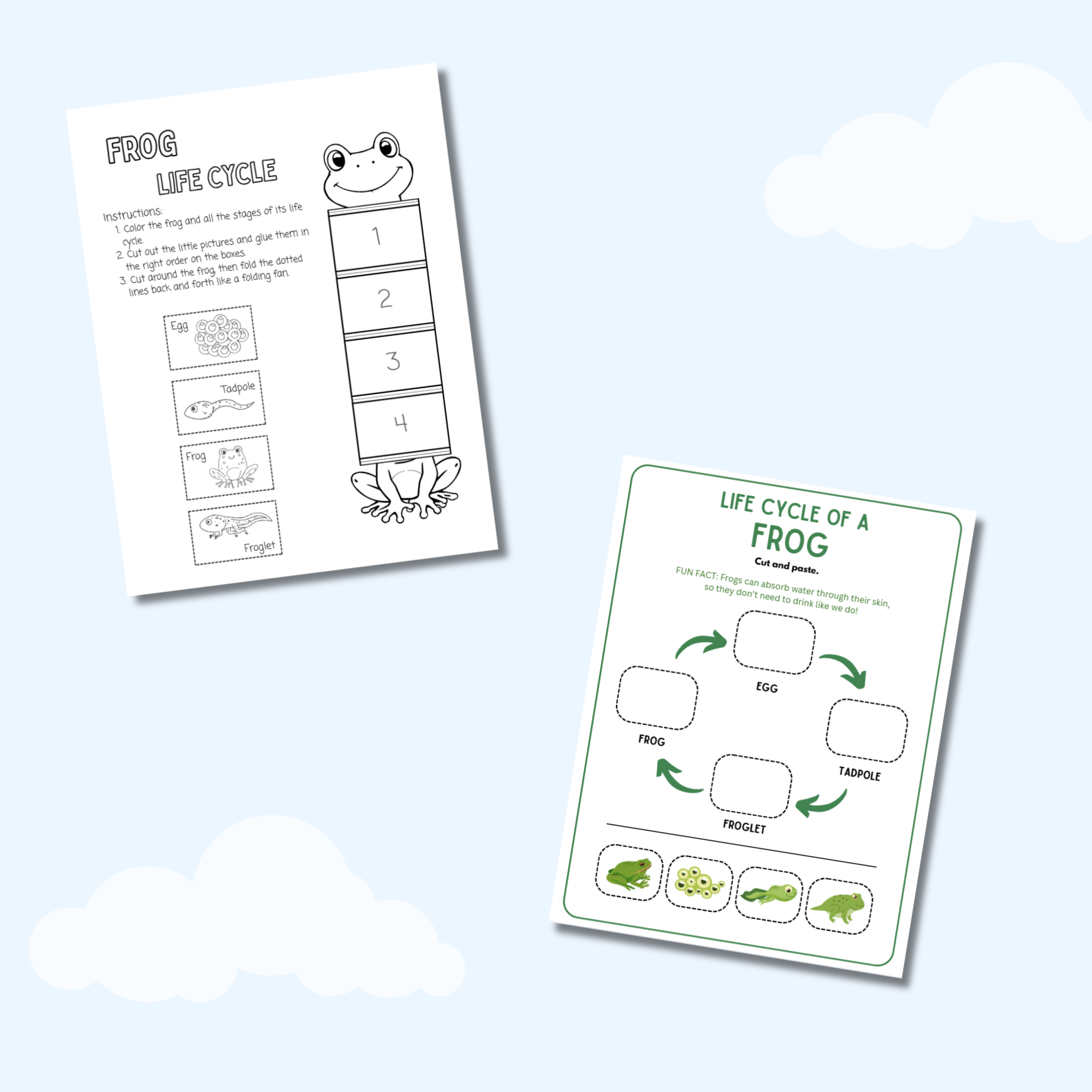My Life Cycle Workbook