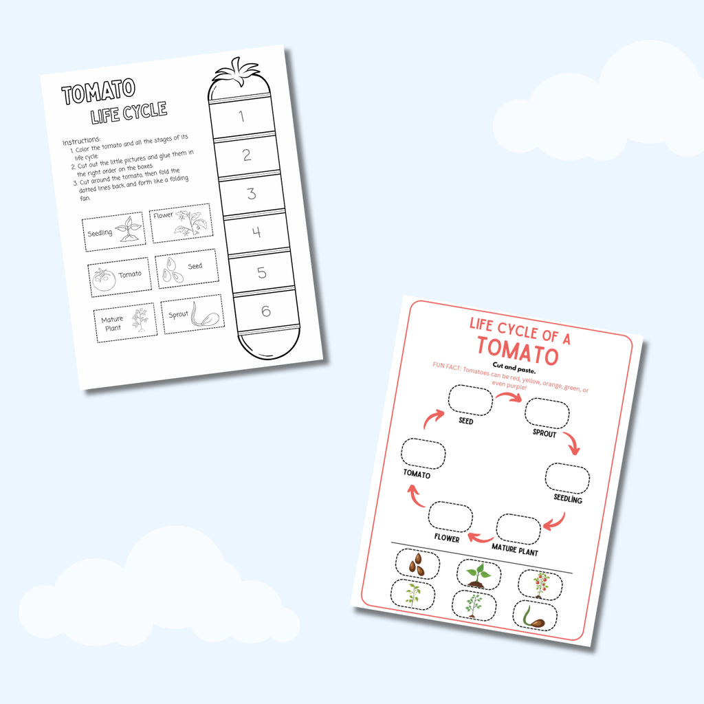 My Life Cycle Workbook