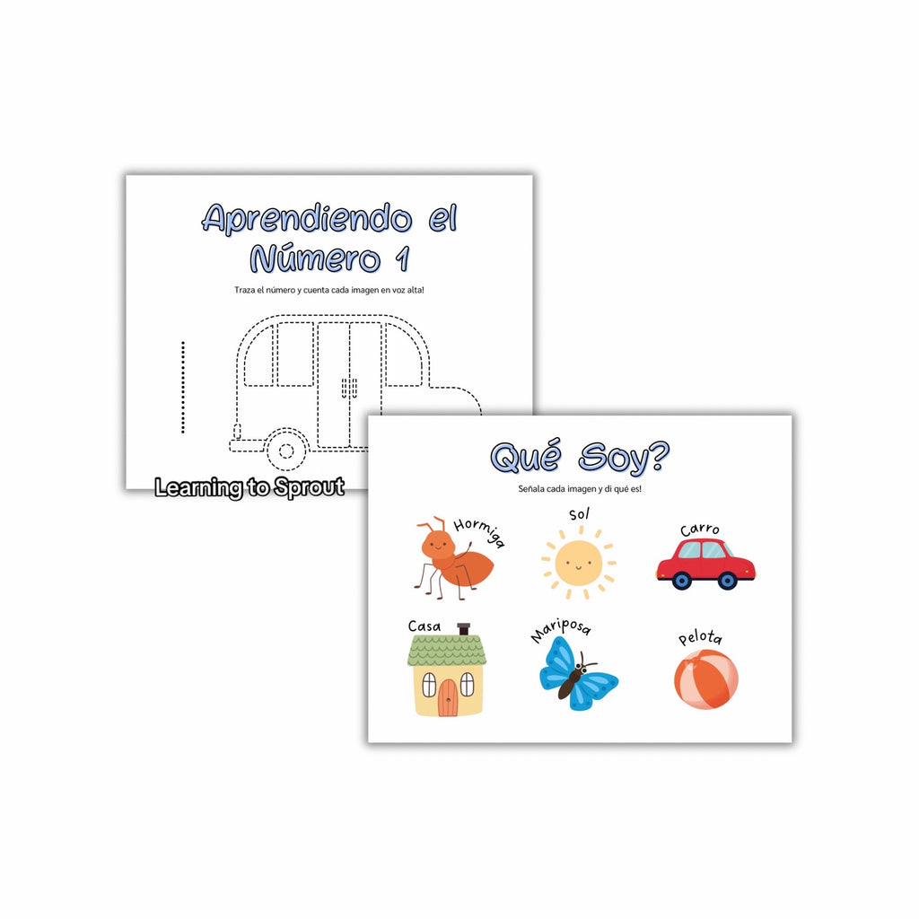 Mi Primer Libro de Aprendizaje
