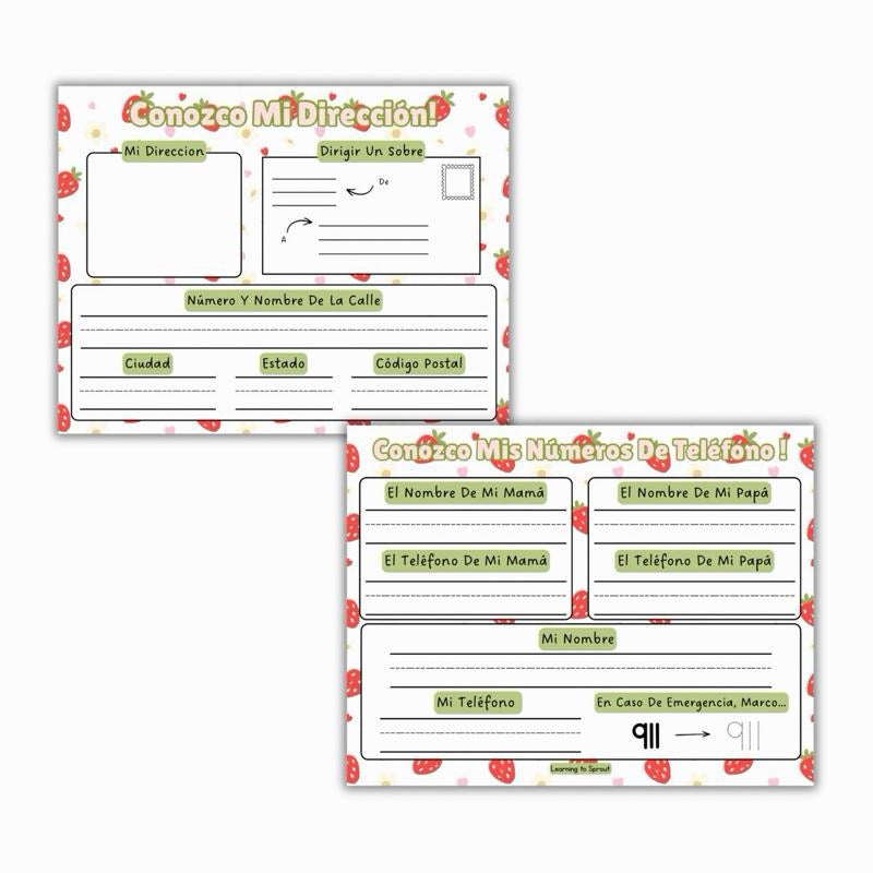 Spanish I Know My Address Sheet